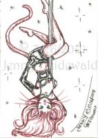 Pole Cat